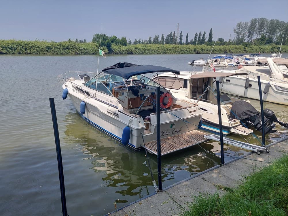 Sea Ray 300 Da usato - dettaglio 2