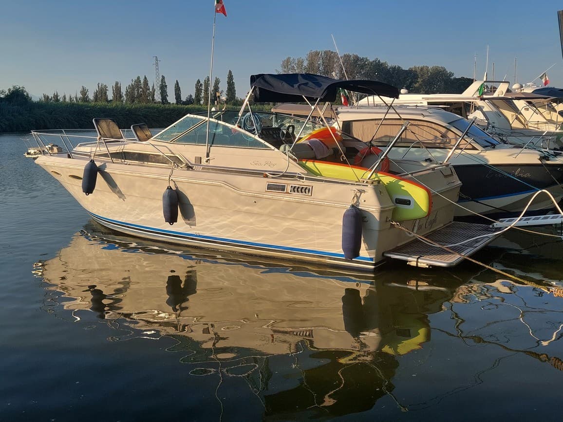 Sea Ray 300 Da usato - dettaglio 1
