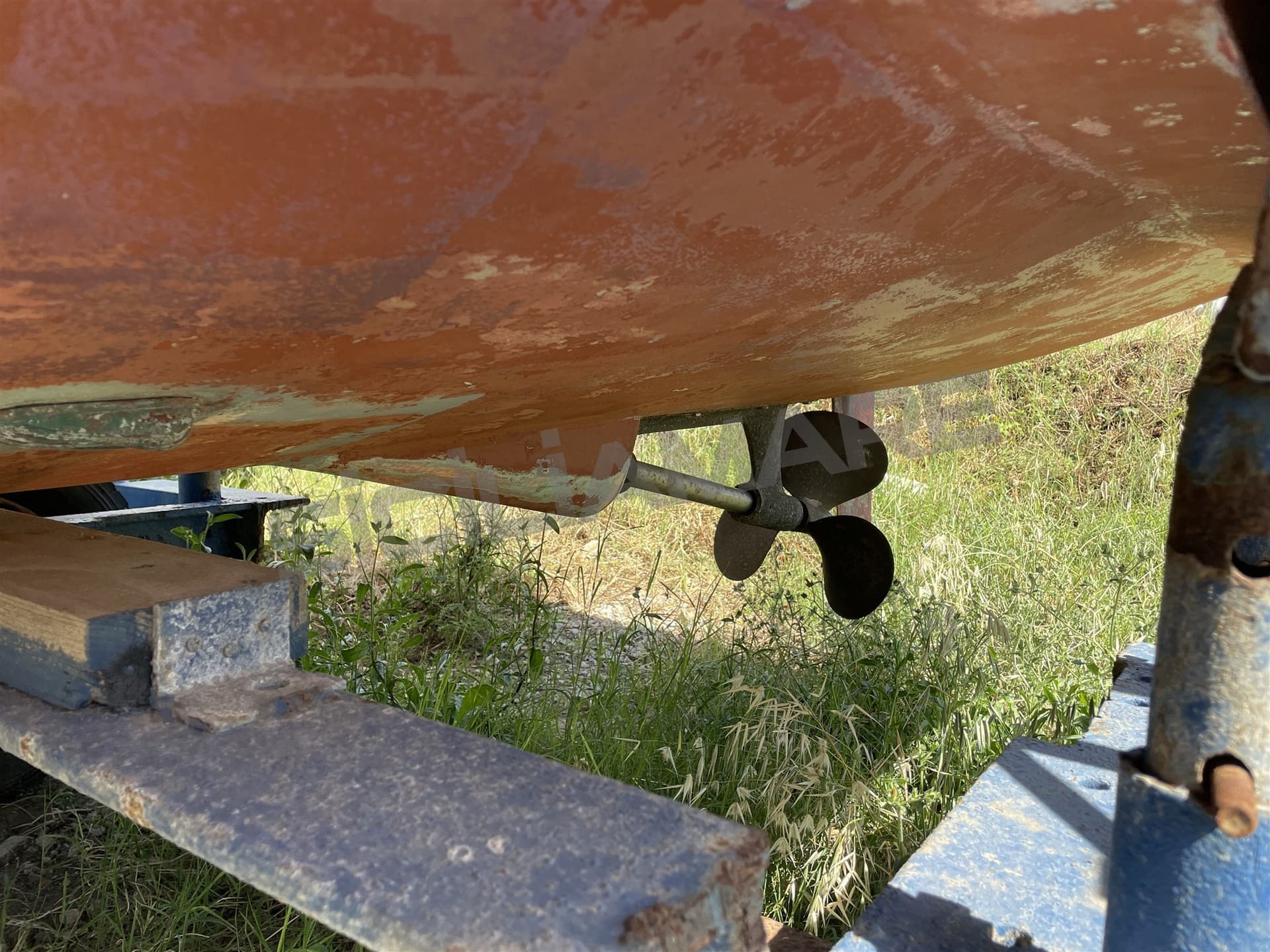 Rio Rio 700 Fish usato - dettaglio 2